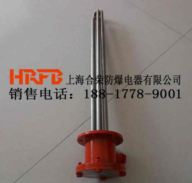 防爆加热器1.jpg